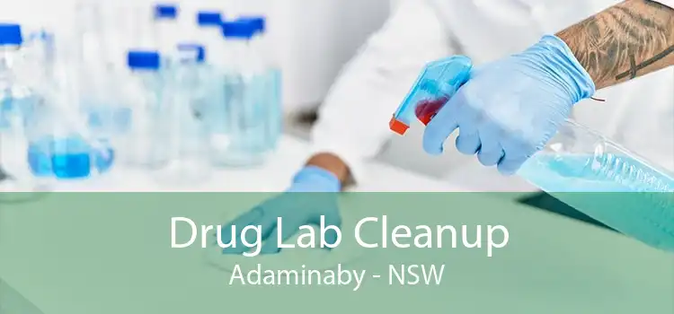 Drug Lab Cleanup Adaminaby - NSW