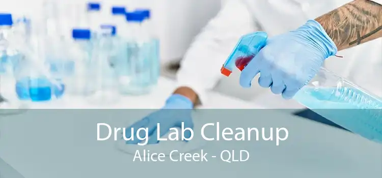 Drug Lab Cleanup Alice Creek - QLD