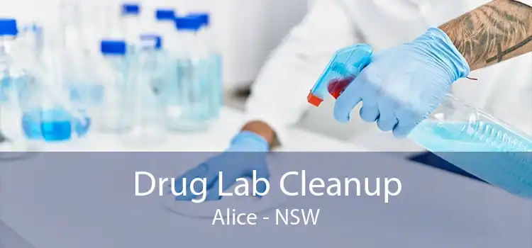 Drug Lab Cleanup Alice - NSW