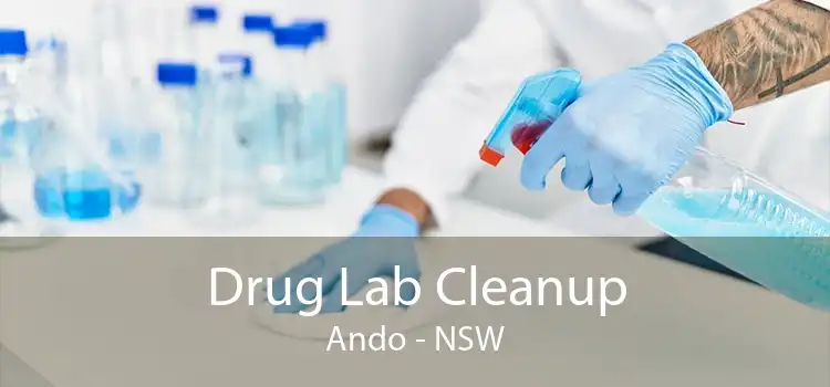 Drug Lab Cleanup Ando - NSW