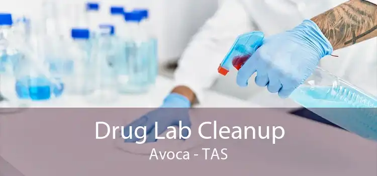 Drug Lab Cleanup Avoca - TAS