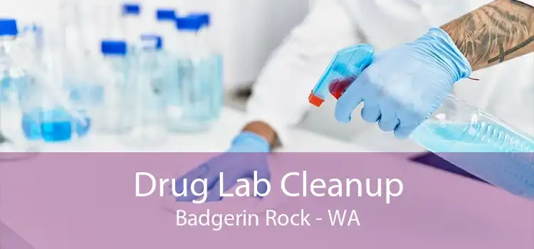Drug Lab Cleanup Badgerin Rock - WA