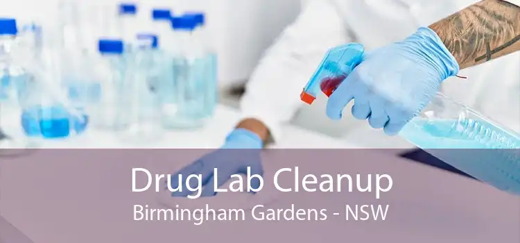 Drug Lab Cleanup Birmingham Gardens - NSW