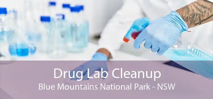 Drug Lab Cleanup Blue Mountains National Park - NSW