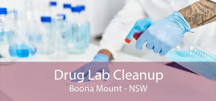 Drug Lab Cleanup Boona Mount - NSW