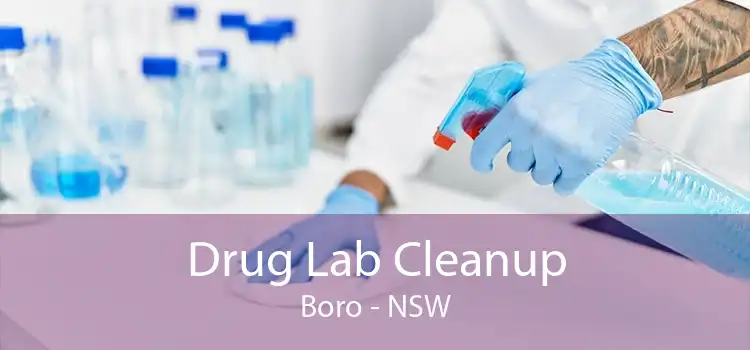Drug Lab Cleanup Boro - NSW