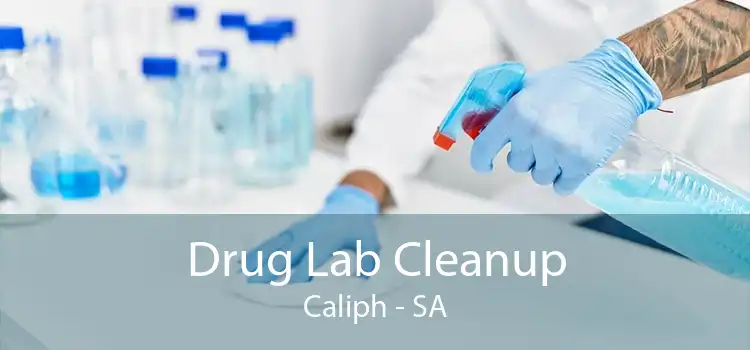 Drug Lab Cleanup Caliph - SA