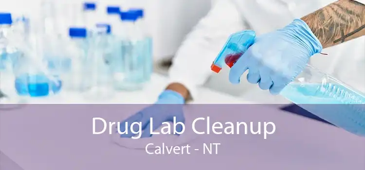 Drug Lab Cleanup Calvert - NT