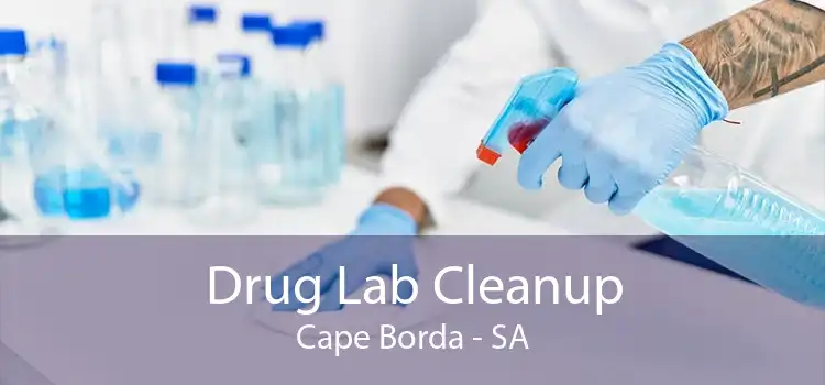 Drug Lab Cleanup Cape Borda - SA