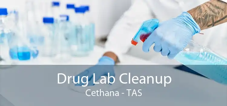 Drug Lab Cleanup Cethana - TAS