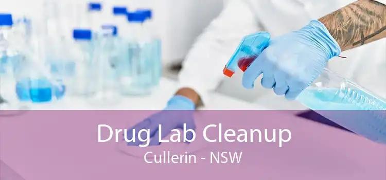Drug Lab Cleanup Cullerin - NSW