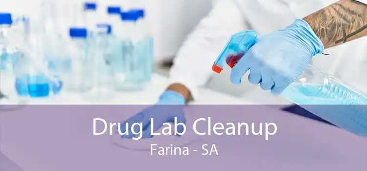 Drug Lab Cleanup Farina - SA