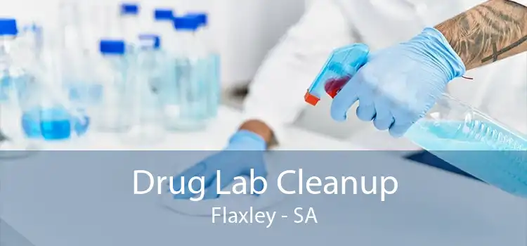 Drug Lab Cleanup Flaxley - SA