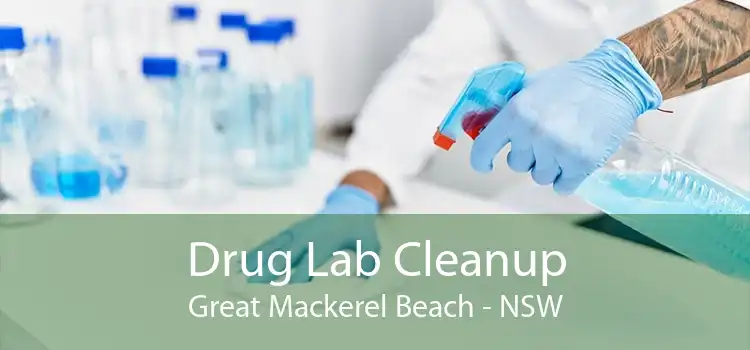 Drug Lab Cleanup Great Mackerel Beach - NSW