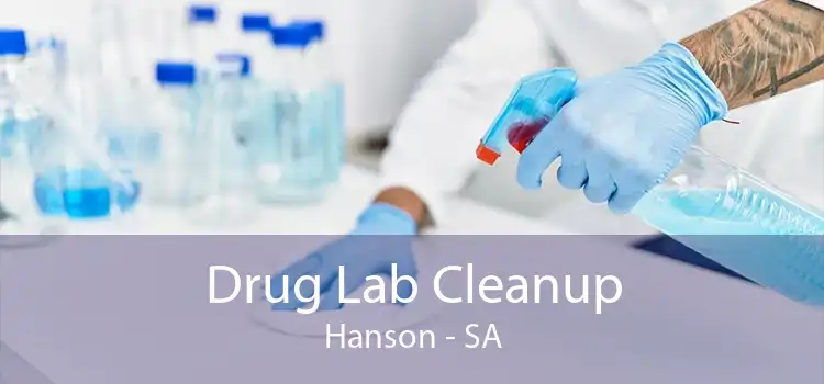 Drug Lab Cleanup Hanson - SA