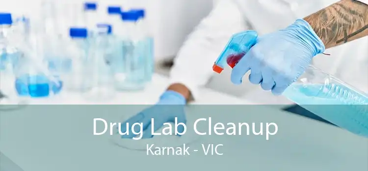 Drug Lab Cleanup Karnak - VIC