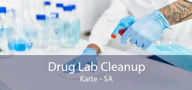 Drug Lab Cleanup Karte - SA