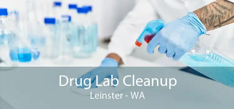 Drug Lab Cleanup Leinster - WA