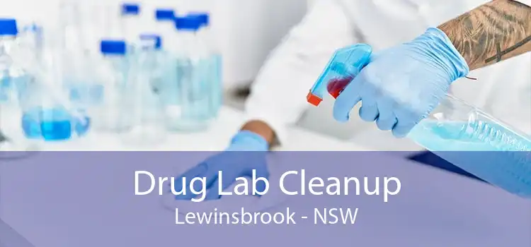 Drug Lab Cleanup Lewinsbrook - NSW