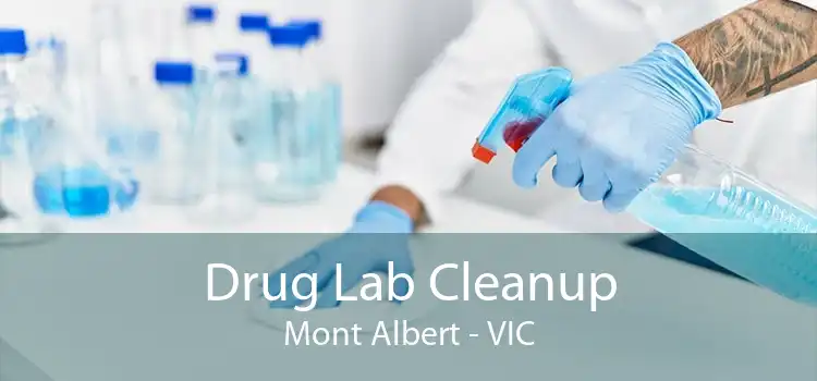 Drug Lab Cleanup Mont Albert - VIC