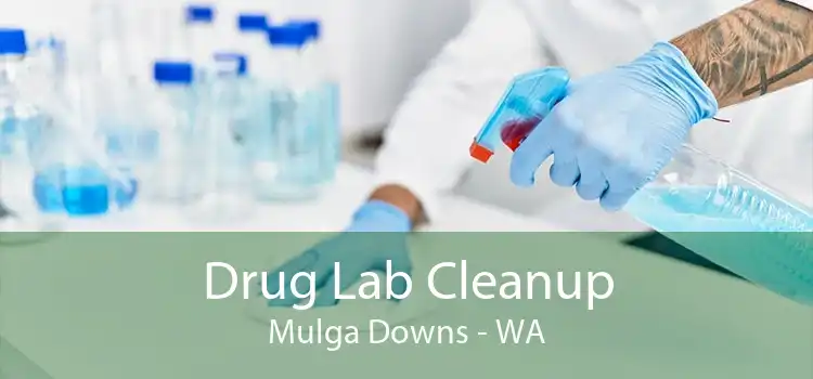 Drug Lab Cleanup Mulga Downs - WA