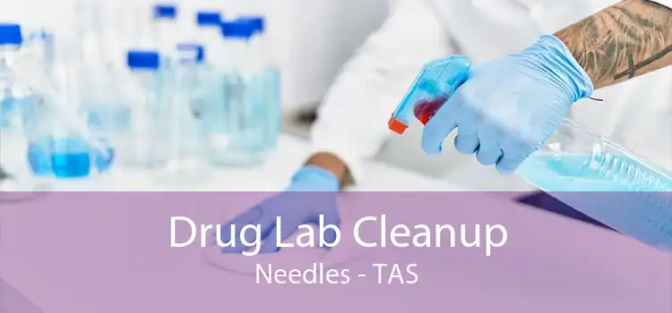Drug Lab Cleanup Needles - TAS