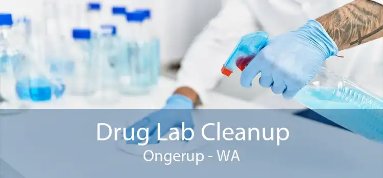 Drug Lab Cleanup Ongerup - WA