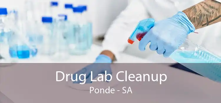 Drug Lab Cleanup Ponde - SA
