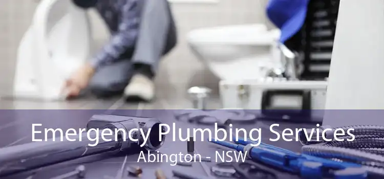Emergency Plumbing Services Abington - NSW