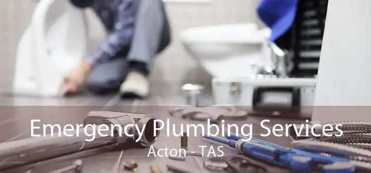 Emergency Plumbing Services Acton - TAS