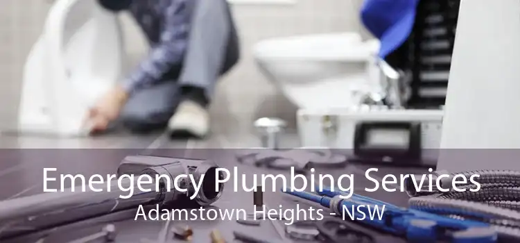 Emergency Plumbing Services Adamstown Heights - NSW