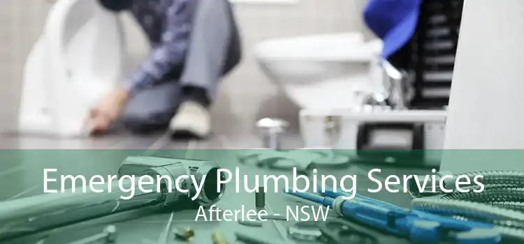 Emergency Plumbing Services Afterlee - NSW