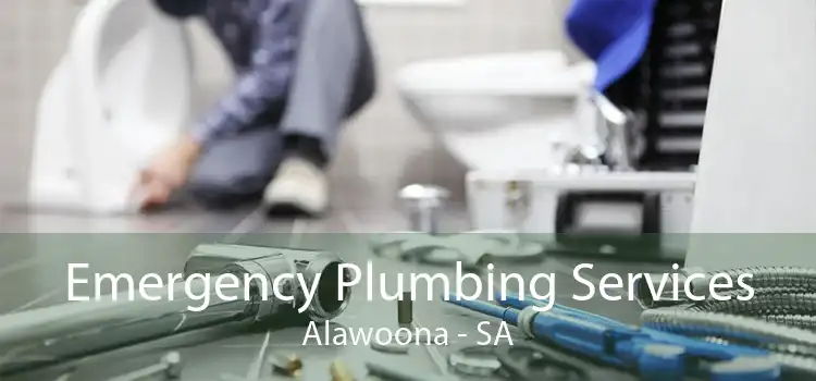 Emergency Plumbing Services Alawoona - SA