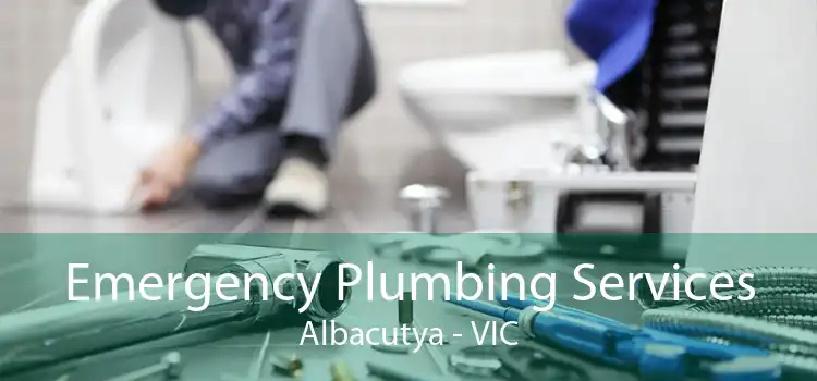 Emergency Plumbing Services Albacutya - VIC