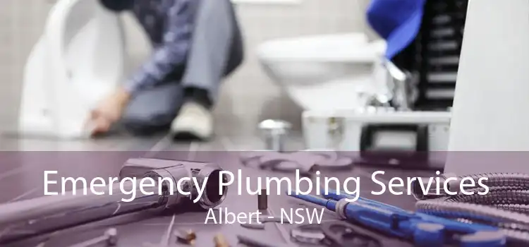 Emergency Plumbing Services Albert - NSW