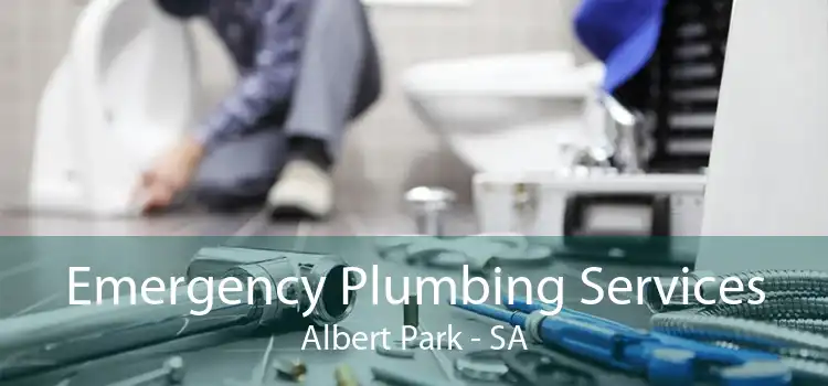 Emergency Plumbing Services Albert Park - SA