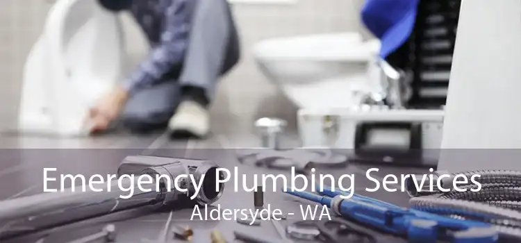 Emergency Plumbing Services Aldersyde - WA