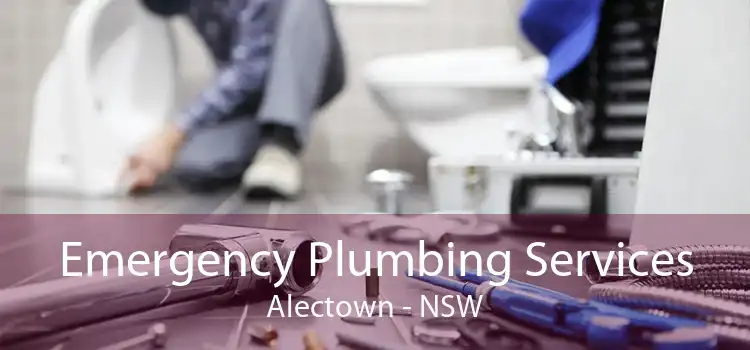 Emergency Plumbing Services Alectown - NSW