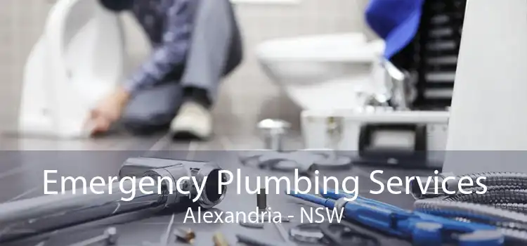 Emergency Plumbing Services Alexandria - NSW