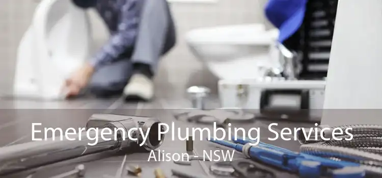 Emergency Plumbing Services Alison - NSW