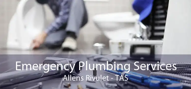Emergency Plumbing Services Allens Rivulet - TAS