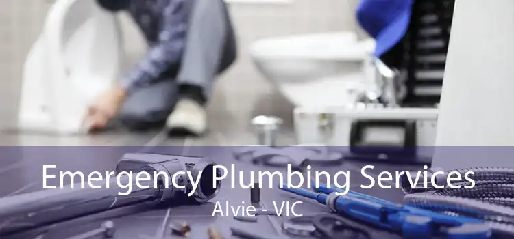 Emergency Plumbing Services Alvie - VIC