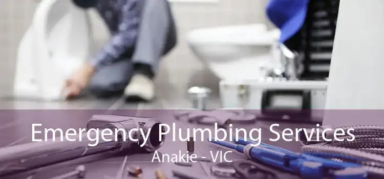 Emergency Plumbing Services Anakie - VIC