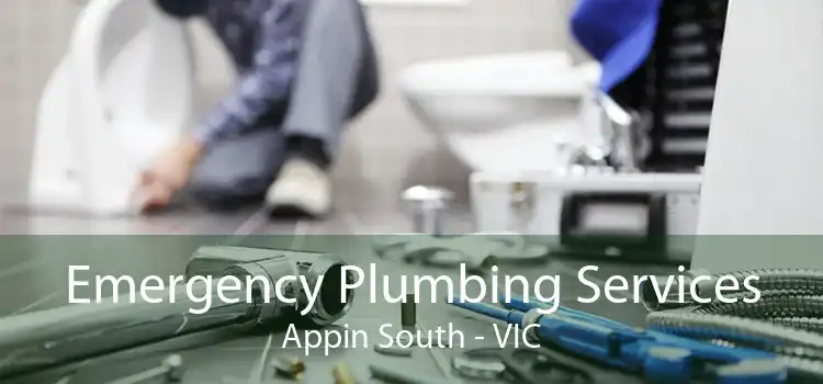 Emergency Plumbing Services Appin South - VIC