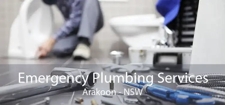 Emergency Plumbing Services Arakoon - NSW