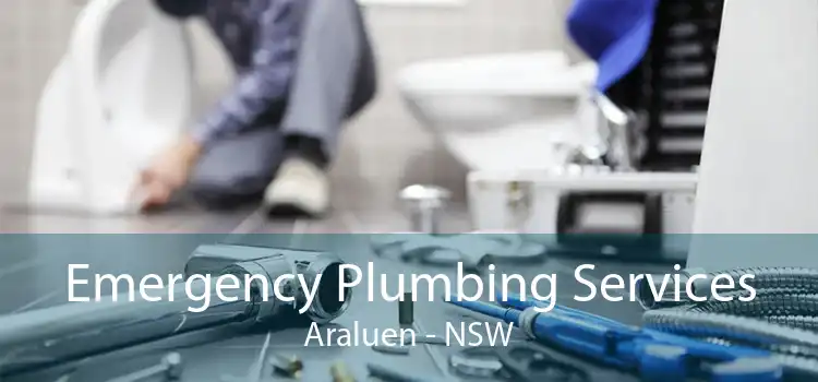 Emergency Plumbing Services Araluen - NSW