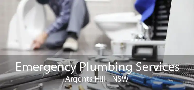 Emergency Plumbing Services Argents Hill - NSW