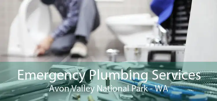 Emergency Plumbing Services Avon Valley National Park - WA