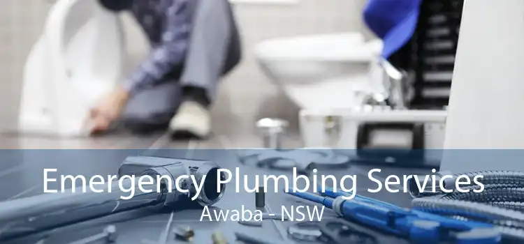 Emergency Plumbing Services Awaba - NSW