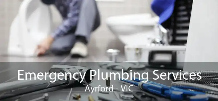 Emergency Plumbing Services Ayrford - VIC